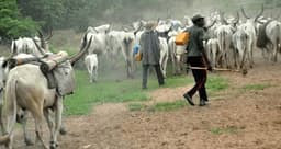 A man sentenced to death by the supreme court for killing a fulani herdsman in Adamawa state
