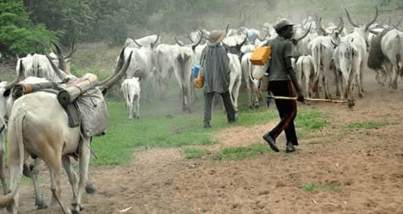 A man sentenced to death by the supreme court for killing a fulani herdsman in Adamawa state