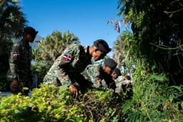 American Student Vanishes in Tropical Paradise DAYS AGO